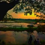 Anh Ba Profile Picture