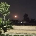 Kha Nguyên Profile Picture