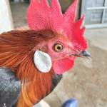 Kiêt Anh Profile Picture