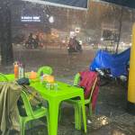 Khoai Profile Picture