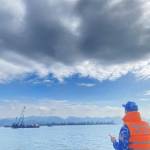 Quan Nguyen Profile Picture