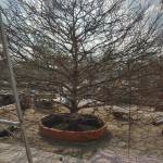 Quang Lâm Profile Picture