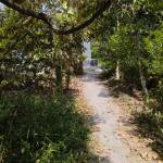 Đạt Trương Profile Picture