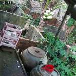 Trường Nguyễn Profile Picture