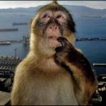 Khoa Nguyen Profile Picture