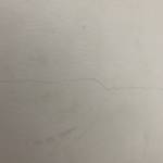 Minh Nguyen Profile Picture