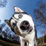 Hoàng Lee Profile Picture