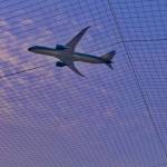 Quoc Nguyen Profile Picture