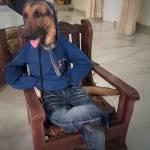 HieuHihung Profile Picture