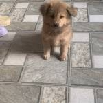 Tuấn Nguyễn Profile Picture