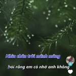 Xida Xi Profile Picture