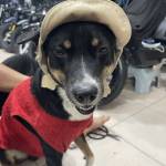 Tịnh Nguyễn thanh Profile Picture