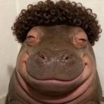 chimsaobenho Profile Picture