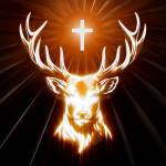 Long Nguyen Profile Picture