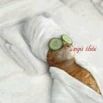 Chi Pheo Profile Picture