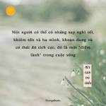 Anh Tuấn Profile Picture