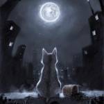 Phong Vũ Văn Profile Picture