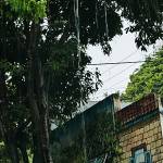 Kenvo01 Profile Picture