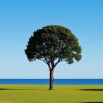 Tenten12 Profile Picture