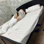 Doanhien Doan Profile Picture