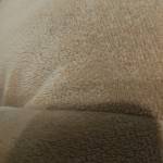 Nguyen Vo Profile Picture