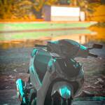 Loi Nguyen Profile Picture