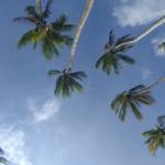 Hoang Tuan Hoang Profile Picture