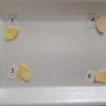 Trọng Nguyễn Profile Picture