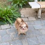 Kin Nguyen van Profile Picture