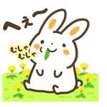 thanh tô Profile Picture