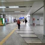 doan tran Profile Picture