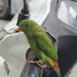 Phong An Profile Picture