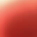 vĩnh nguyễn Profile Picture