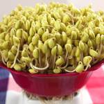 Nguyenphuongnb89 Profile Picture