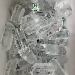 TinTinAnh Tran Profile Picture