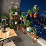 Thiên Lê Profile Picture