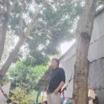 Tuan Hoang Profile Picture