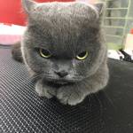 Vinh Quang Profile Picture