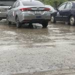 duy bùi Profile Picture