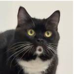 Duyen Danh Profile Picture