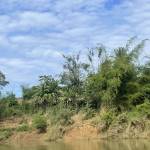 Hieucbncx Profile Picture