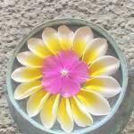 Sang Trần Profile Picture