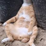 Minh Hoàng Profile Picture