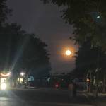 Goodboypy Profile Picture