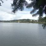 Thành Nguyễn Profile Picture