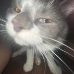 Hảo Lê Profile Picture