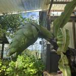 Tèo Pham Profile Picture