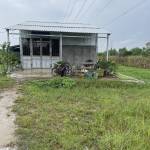 Huy Phạm Profile Picture