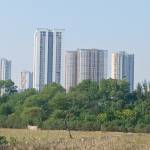 Bin bin Công Profile Picture