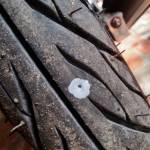 Trandai25 Profile Picture